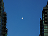 IMGP7096